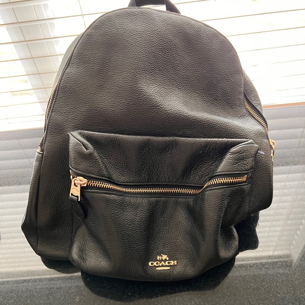 Coach Bag/ Leather